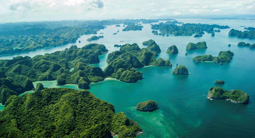 Tour Thuỷ Phi Cơ Hạ Long bay 25 phút | Thứ 2 - Thứ 6